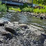 Apartman Alesia Suedpfalz Bad Bergzabern