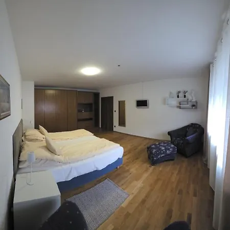 Alesia Suedpfalz Apartman Bad Bergzabern