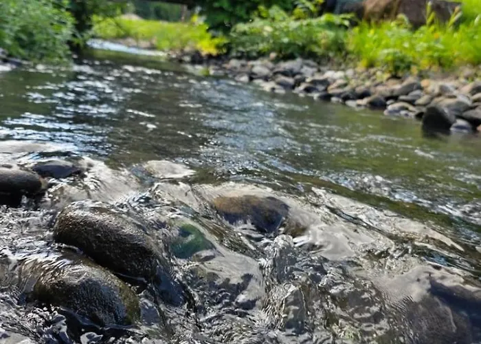 Appartement Alesia Suedpfalz Bad Bergzabern