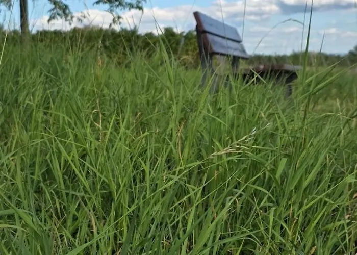 Alesia Suedpfalz Appartement