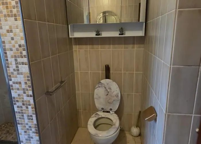 Alesia Suedpfalz Appartement Bad Bergzabern