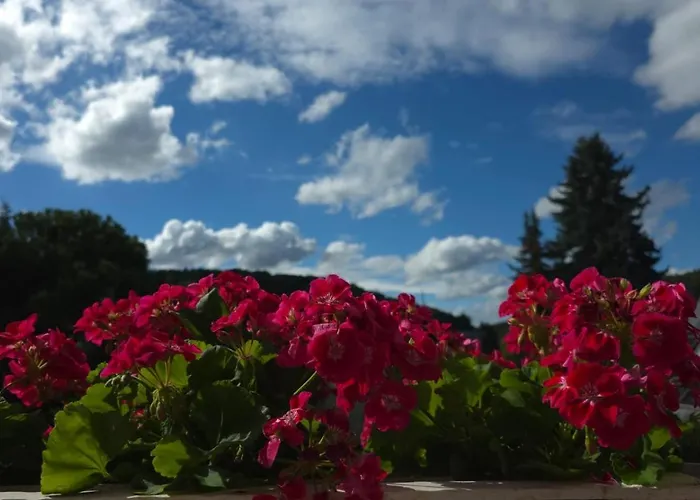 Alesia Suedpfalz Appartement