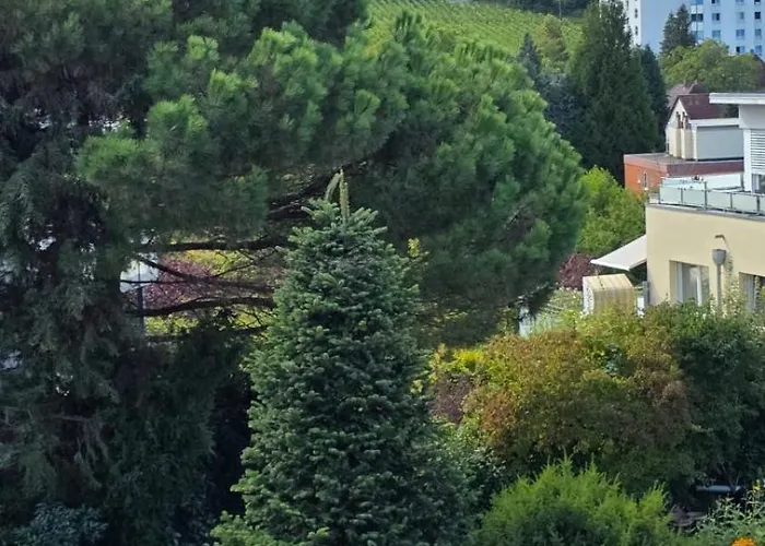 Alesia Suedpfalz Bad Bergzabern